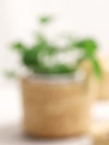 New Handmade Straw Woven Storage Basket With Lid Snack Organizer Storage Laundry Baskets Rattan Storage Flower Basket