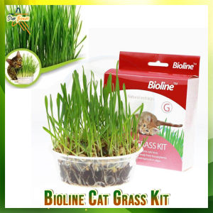 Bioline Cat Grass Kit Natural CAT GRASS Seeds 12g (No Specific)