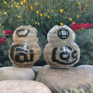 Khuôn Tạo Hình Hồ Lô 2 Bầu Cho Các Loại Bưởi Dưa dành cho trái từ 800g-2kg2