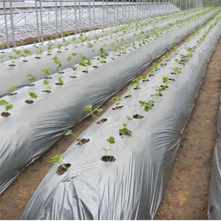 %E3%80%90Ready%20Stock%E3%80%910.6M%200.8M%201M%201.2M%20Width%20Silvershine%20Roll%20Bumi%20Fertigasi%20Tanaman%20Plastik%20Anti%20Rumput%20Penutup%20Batas%20Silver%20shine%20-%20Image%208