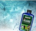 Thuốc diệt rêu tảo Biozym Algae Remover hiệu quả và an toàn. 