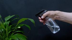 Plastic Spray Bottles for plant - 1Pack/10oz/300ml - Small Spray Bottles    Mist Stream - No Clog No Leak Easy to Grip with Adjustable Nozzle for Hair Cooking Cleaning - BPA Free