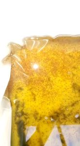 Daphnia magna starter