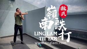 Ling Lam Tit Tar Koyok Plaster 5 piece per 嶺南跌打新型膏药贴5片装