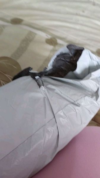 Buyer review video 2