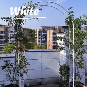 Mylilangelz Iron Flower Arch Wedding Party Arch Outdoor Garden Decoration