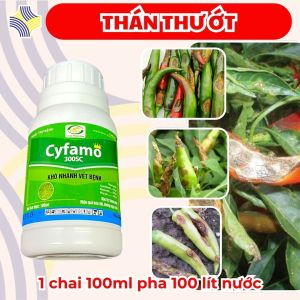 Cyfamo 300SC (Cyazofamid + Flumorph) – Kiểm Soát Thán Thư Ớt Giữ Lá Xanh Khỏe Hạn Chế Lan Rộng Vết Bệnh – Pha 100L Nước