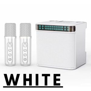 Bluetooth speaker with mic and outdoor Family party KTV speaker with 3D stereo and colorful LED dance lights YS223