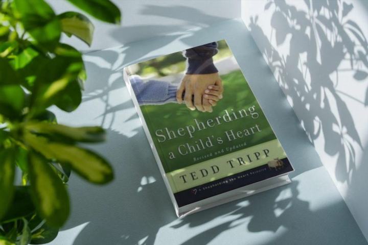 Shepherding a Child's heart( revised and updated by Tedd Tripp)