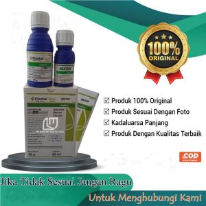 Insektisida Elestal Neo Syngenta 30/24 wg 30 Gram + Perekat Hasten 50 ml