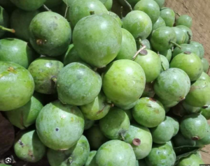 1kg quả dọc nấu canh gia vị chấm chấm hải sản chấm gà vịt
