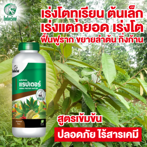 บำรุงใบทุเรียน อะมิโนแรปเตอร์ บำรุงทุเรียน เร่งแตกยอด เร่งโตไว เร่งต้นใบราก บำรุงทุเรียนเล็ก บำรุงต้นโทรม ขนาด 1 ลิตร