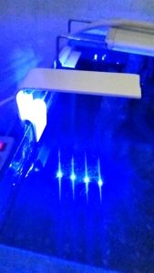 Lampu Akuarium Lampu LED Soliter Cupang Lampu LED Mini Aquarium Lampu Akuarium Lampu Hias Aquarium