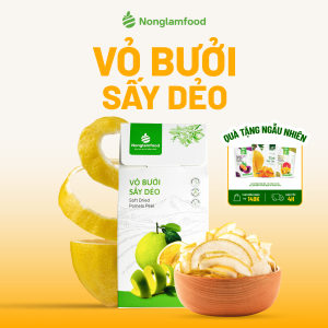Vỏ Bưởi Sấy Dẻo NONGLAMFOOD Hàng Chuẩn Xuất Khẩu Hương Vị Chua Ngọt Hài Hòa Trái Cây Sấy Dẻo Ăn Vặt Văn Phòng Hộp 200g