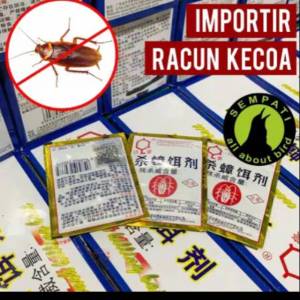 Racun Kecoa Miezhangqing Mie Zhang Qing pembasmi koloni