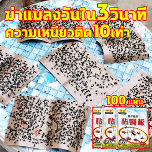 ยากำจัดไรไก่ สเปรย์ไล่แมลงวัน 500ml ที่ไล่แมลงวัน กำจัดแมลงวัน ยากำจัดแมลงวัน ยาไล่แมลงวัน กระดาษแผ่นกาวดักแมลง กาวดักแมลงวัน สเปรย์สมุนไพรไล่แมลง สเปรย์ไล่แมลงสาบ ไล่แมลงสาบ ไล่มด ไล่ยุง ไล่แมลงหวี่ สเปรย์สมุนไพรไล่ปลวก ไล่แมลง ยาฆ่าแมลงวัน