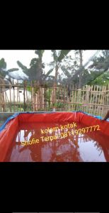 KOLAM TERPAL IKAN 200X100X100 CM BAHAN A12 TEBAL KUAT\nTERPAL LELE 100x100x50/200x100x50/300x100x50/400x100x50/100x500x50 CM BAHAN A5 KOREA\nTERPAL LELE 200X100X50 PREMIUM