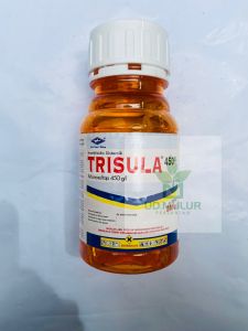 Insektisida Sistemik TRISULA 450sl pengendali thrips dr cap kapal terbang