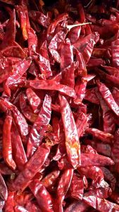 ( 1KG )CABE MERAH BESAR KERING TANPA TANGKAI