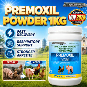 BATTLECOCK Premoxil Powder 1Kilo Antibiotic Para Sa Pig Chicken Gamefowl Respiratory Support