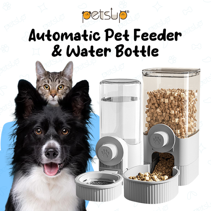 Automatic Cat Feeder With Timer – 2 Bowls, 48-Hour Schedule, 700ml Total – BPA-Free For Cats & Small Dogs – Includes Ice Pack Compartment (White) 8 thumbnail image