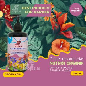 Pupuk Organik Cair Tanaman Hias Nutrisi Tanaman Bunga Agar Cepat Berbunga Pelebat Bunga Melati Mawar dan Segala Jenis Tanaman Hias Cepat Berbunga Lebat Merangsang Pertumbuhan Tunas Penyubur Daun Bunga Cepat Beranak Tumbuh Tunas Akar Pupuk