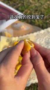 Mango Dried Peach Fruit Snacks  Mango and peach dried fruit snack