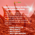 Vitamin Ternak Burung Kenari / Vitamin Obat Ternak Burung Kenari / Vitamin Burung Ternak Murai / Vitamin Ternak Burung Lovebird / Vitamin Ternak Burung Murai. 