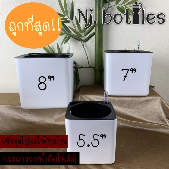 กระถางรดน้ำอัตโนมัติทรงสี่เหลี่ยมสีขาว ขนาด 8 นิ้ว
