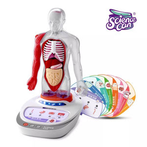 MALOTOYS - SCIENCE CAN Human Body Anatomy My Body Voice Pedia Anatomi Tubuh Sciencecan Model Anatomical Medical Internal Organs Teaching Mainan Edukasi Educational Brain Heart Malo Toys