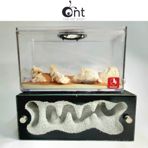Handcrafted The Jumbo Crystal Cave Formicarium                                                                                                                                              - Ant Farm Ant Cages Ant Nest Ant Formicarium The Ant Shop 蚂蚁 蚁
