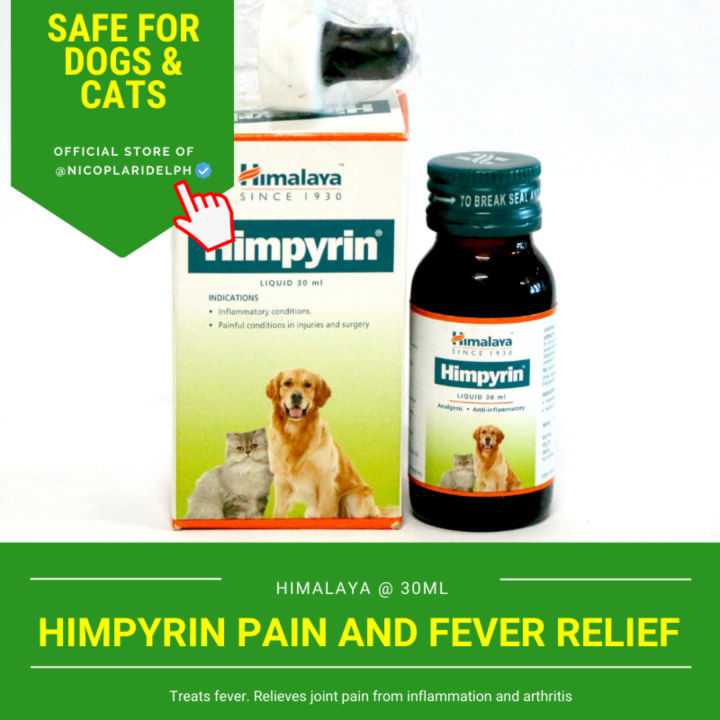 Inflammation meds 2024 for dogs