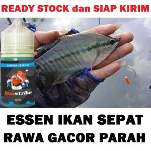 ESSEN IKAN SEPAT RAWA GACOR PARAH ISI 30ML | BOOSTRIKE HIBRIDA ESSENCE