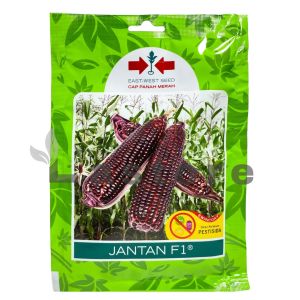 Benih Jagung Pulut JANTAN F1 Isi 200 Butir Cap Panah Merah