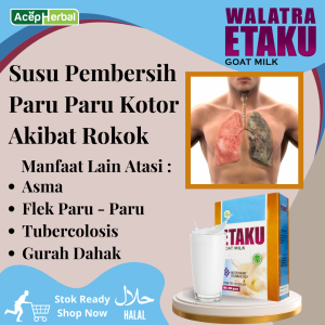 Susu Pembersih Paru Paru Kotor Perokok Flek Paru Paru Sesak Nafas Tubercolosis Gurah Dahak Dengan Etaku Goat Milk