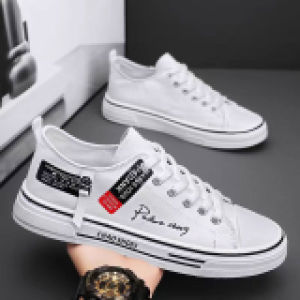 AU2026 New summer canvas shoes mens classic canvas shoes casual everyday canvas shoes for teenagers classic and trendy footwear