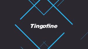 Neck Strap Travel Passport Wallet Waterproofs Document Storage Bag Portable Credit Card Passport Holder Travel Neck Pouch