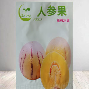 Ginseng fruit life fruit fruit four-season vegetables vegetable substitutes