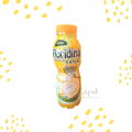 FLORIDINA Orange / Coco 350ml Minuman Rasa Jeruk Segar. 