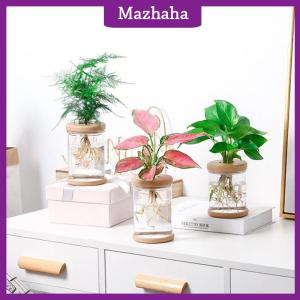 Mazhaha Transparent Flower Pot Hydroponic Automatic Water Absorption Plastic Flower Pot