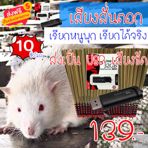 999shop เสียงต่อ เสียงสั่นตอก เรียกหนู ล่อหนู แฟลชไดร์ฟเสียงสั่นตอก  สำหรับต่อหรือล่อนก ความยาว 10 ชม.เสียงดัง เสียงใสกังวาน ได้ผล100%