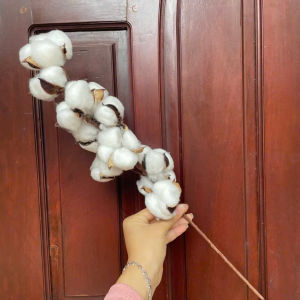 CÀNH HOA BÔNG GÒN KHÔ PHỤ KIỆN DECOR CHỤP ẢNH CẮM BÌNH HOA LÀM VÒNG HOA TRANG TRÍ NOEL NHÀ CỬA TẾT GIÁNG SINH SẴN HCM