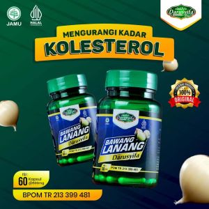 Kapsul Ekstrak Bawang Lanang 60 Kapsul Secara Tradisional Mengatasi Kolesterol