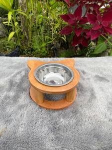 Tempat Makan Kucing & Anjing Lucu Dan estetik