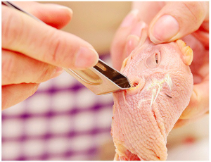 Stainless Steel Kitchen Utility Tool Epilator Plucking Tool Penyepit Bulu