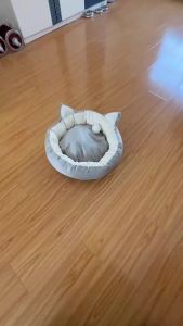 Cat EarBed Washable Summer Dog Bed Mat Four-Season Cat NestSupplies