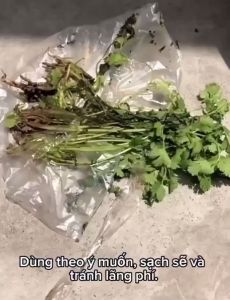 Hộp nhựa đựng thực phẩmhộp nhựa dài bảo quản rau củ quả tủ lạnh có nắp giữ thực phẩm luôn tươi mới Vuadienmay