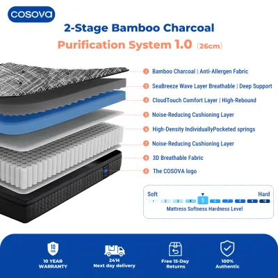 COSOVA 10.2 Inch Memory Foam With Natural Latex Foam Independent Spring Mattress Ergonomic