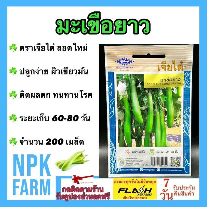 10 อันดับเมล็ดพันธุ์มะเขือและมะเขือเทศน่าปลูกปี 2026! คัดมาแล้วงอกดี ผลดก