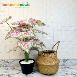 Pohon Hias Tanaman Daun Calladium Pink X18 Semilatex Artificial Cover Purun Belly Hiasan Ruangan Aesthetic